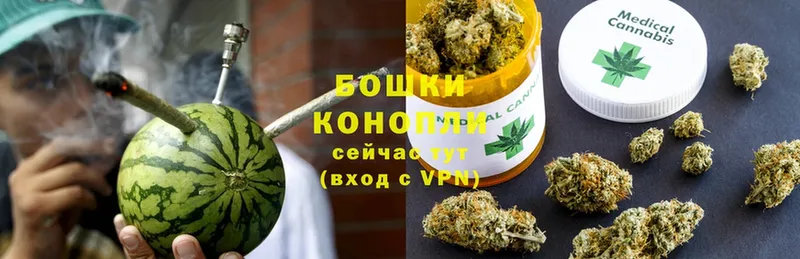 Конопля SATIVA & INDICA  Купино 